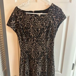 Eva Mendes New York and Co Dress